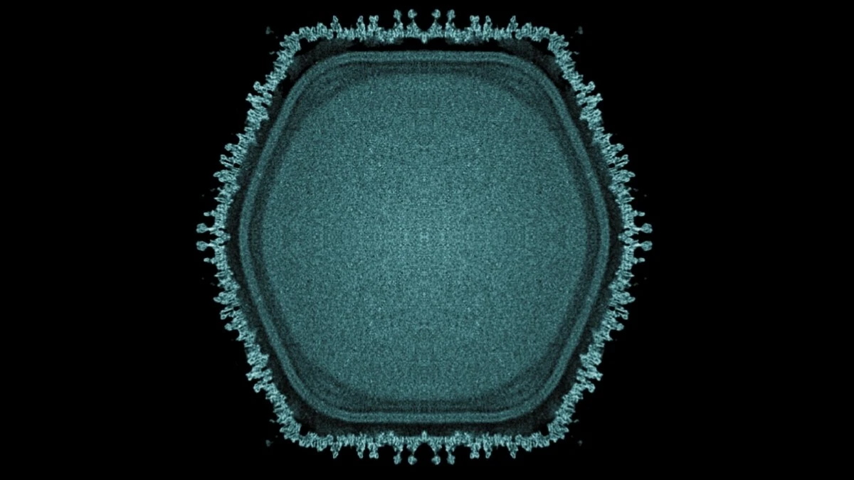 Il Gigante Silenzioso che Rimette in Discussione la Vita: Virus Enorme Trovato in un Laghetto Giapponese Offre Indizi sulle Origini Multicellulari