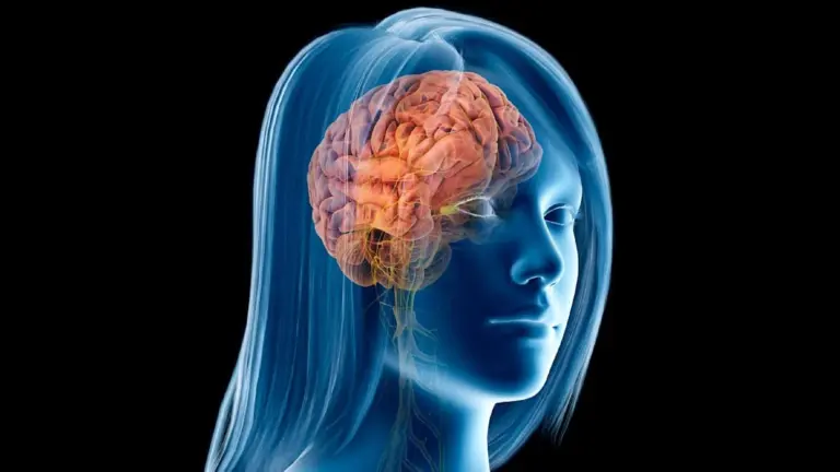 Menopausa: i cambiamenti cerebrali che non ti aspetti e come proteggere la tua mente