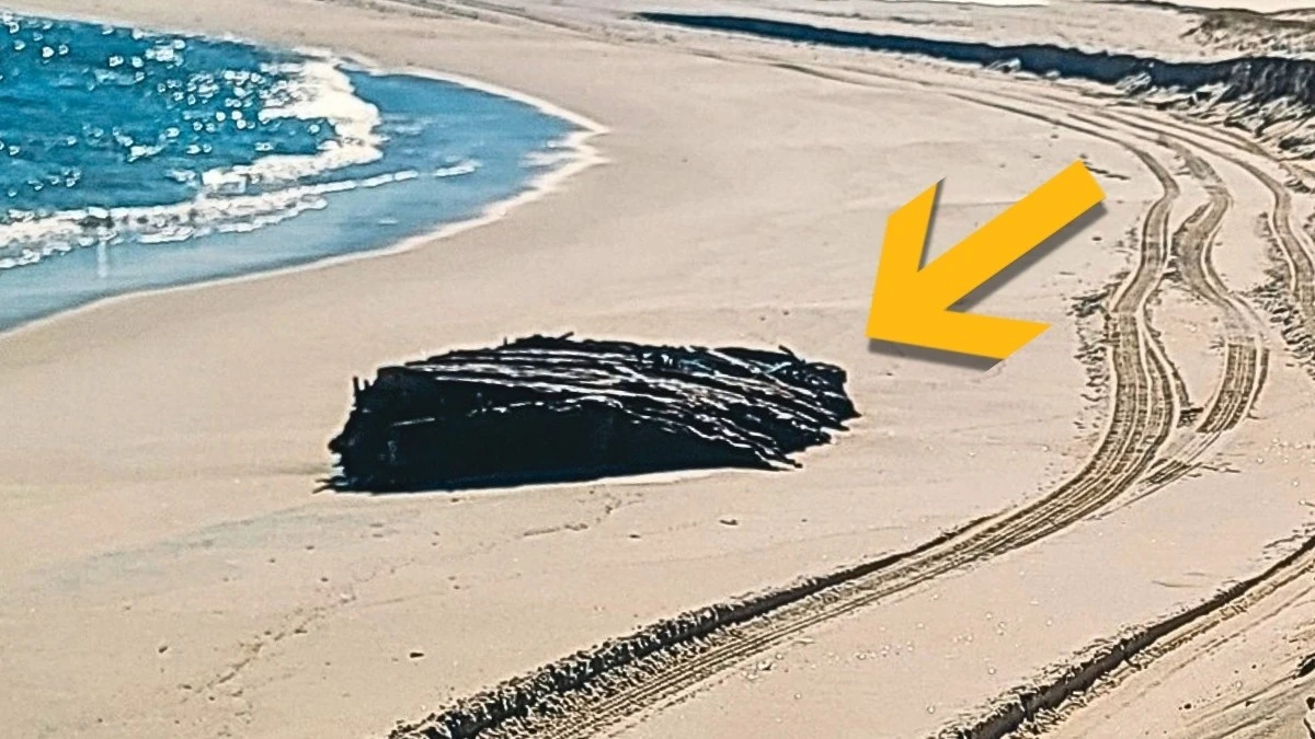 Tempeste rivelano relitto del 1890: un mistero marittimo riemerge sulla Jersey Shore