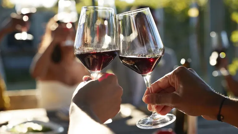 Alcol: ciò che accade davvero al tuo cervello dopo pochi bicchieri