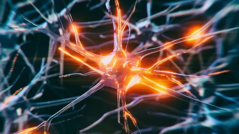 Alcune cellule cerebrali resistono alla demenza: gli scienziati scoprono finalmente il perché.