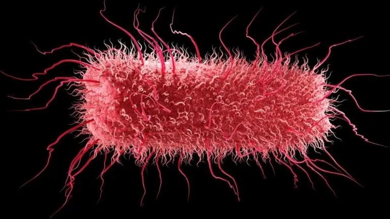 Alcune delle tue cellule hanno miliardi di anni: scopri le origini più profonde della vita