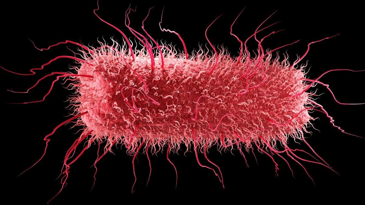 Alcune delle tue cellule hanno miliardi di anni: scopri le origini più profonde della vita