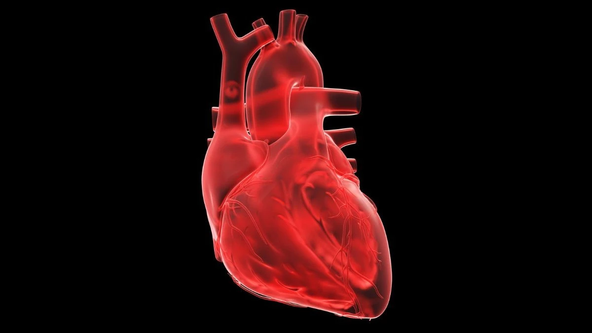 Cuore su un chip: la rivoluzione che potrebbe salvare milioni di vite