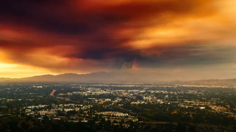 Fumo degli incendi: un killer silenzioso che ogni anno costa 24.000 vite negli USA