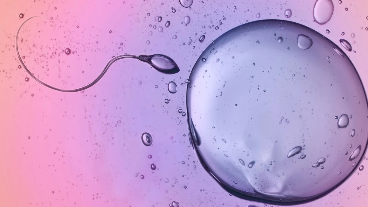 Gli spermatozoi aggirano le leggi della fisica di Newton: la scoperta che ridefinisce il movimento