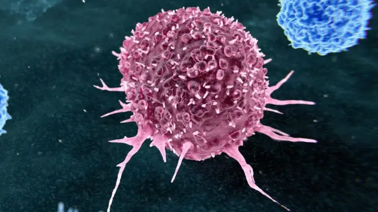 I 2 segreti meno noti che riducono il rischio di tumore: la scienza è chiara