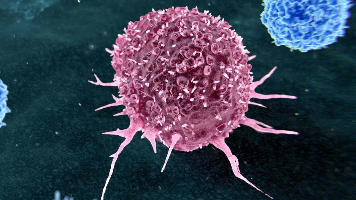 I 2 Vizi Che Rischiano di Ucciderti: La Scienza Sotto Accusa