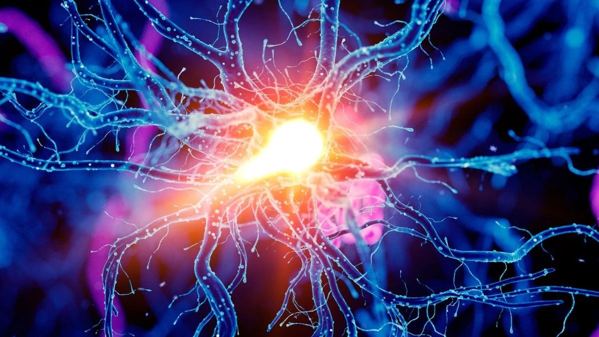 Il cervello che ti spinge oltre: la scoperta che potenzia la tua resistenza fisica