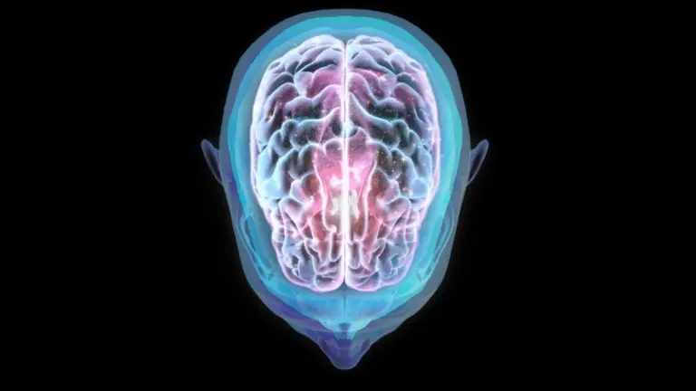 Il cervello umano si sposta nello spazio: ecco cosa succede ai tuoi neuroni in microgravità