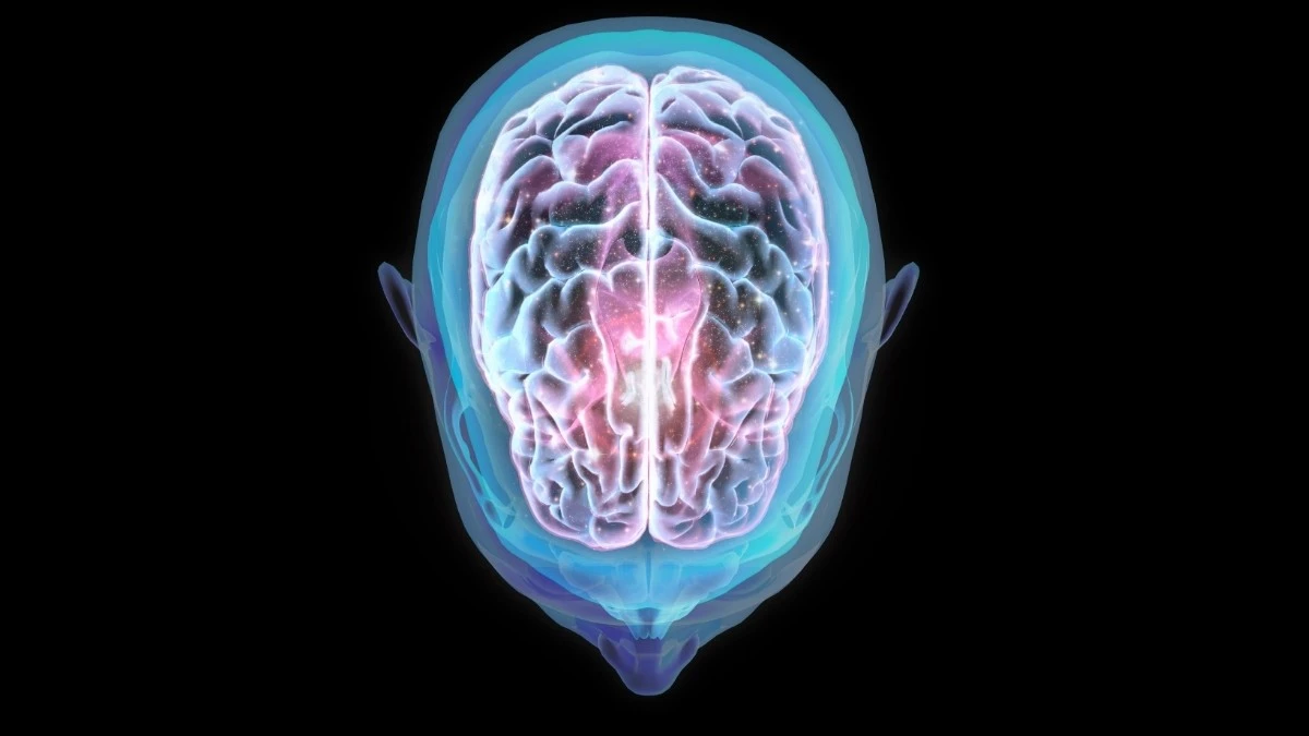 Il cervello umano si sposta nello spazio: ecco cosa succede ai tuoi neuroni in microgravità