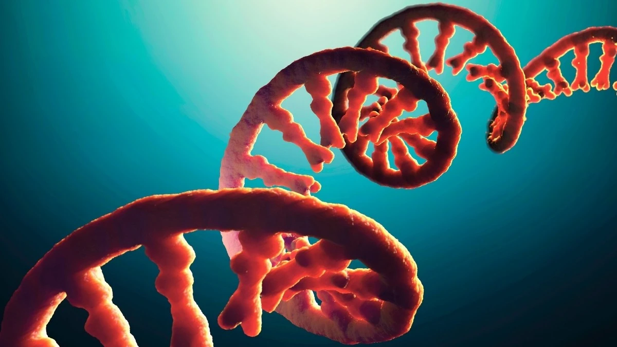 Il "DNA Ombra" nel tuo genoma: la chiave per curare malattie finora incurabili