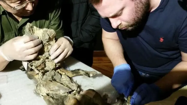 Il mistero del rinoceronte lanoso: la vera causa della sua scomparsa svelata da un tesoro nel permafrost