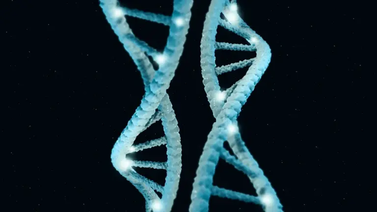 I tuoi geni potrebbero determinare la tua longevità molto più di quanto pensi: ecco perché