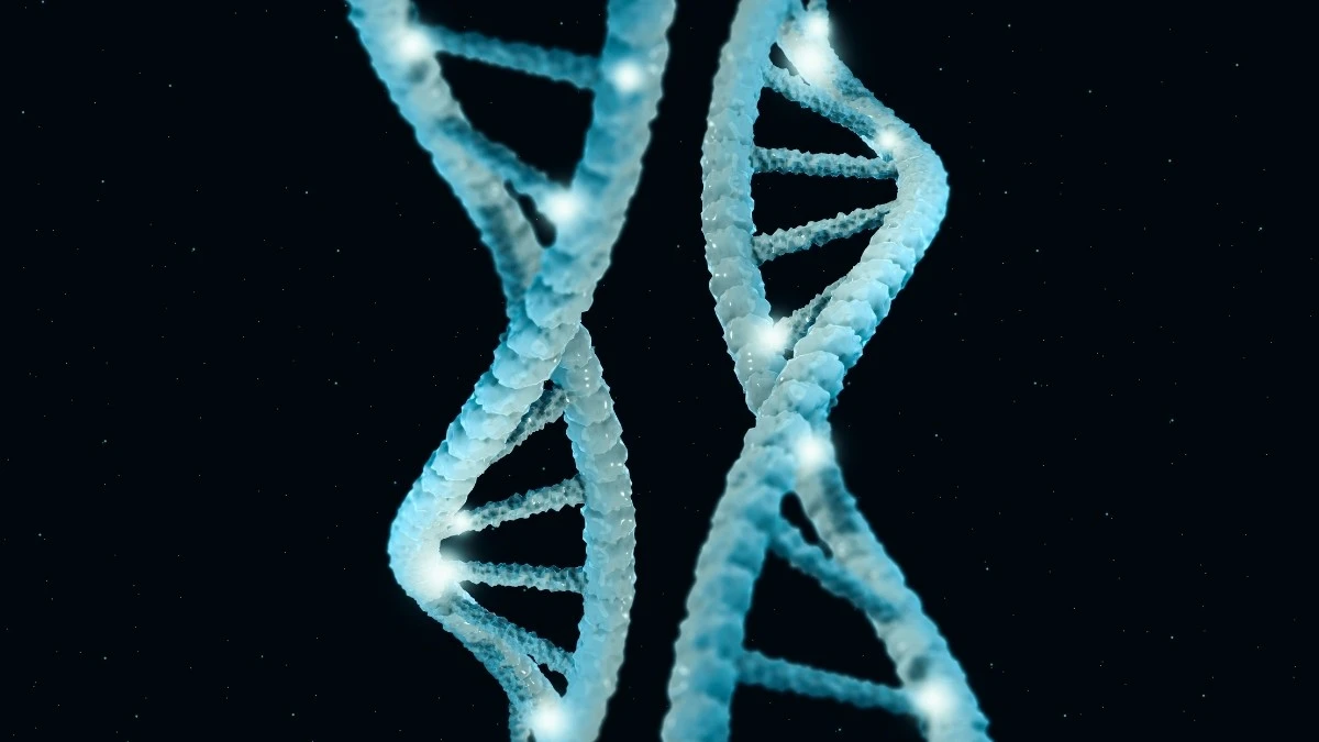 I tuoi geni potrebbero determinare la tua longevità molto più di quanto pensi: ecco perché