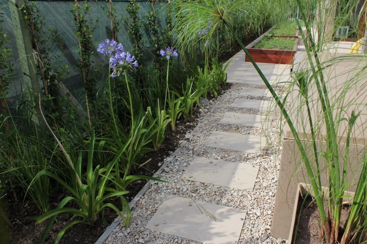 I yuyos tra le pietre: il trucco semplice ed economico che rivoluziona il tuo giardino