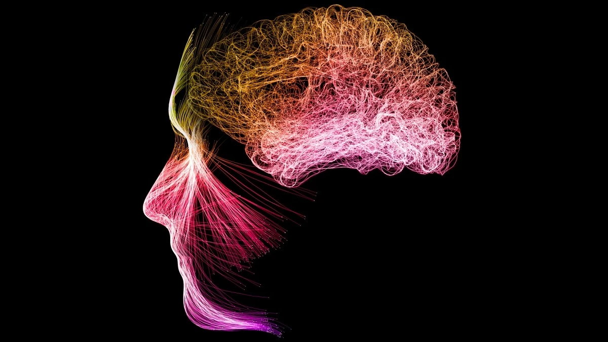 La Meditazione Rimodella il Tuo Cervello: Si Avvicina a Stati Simili a Quelli Psichedelici