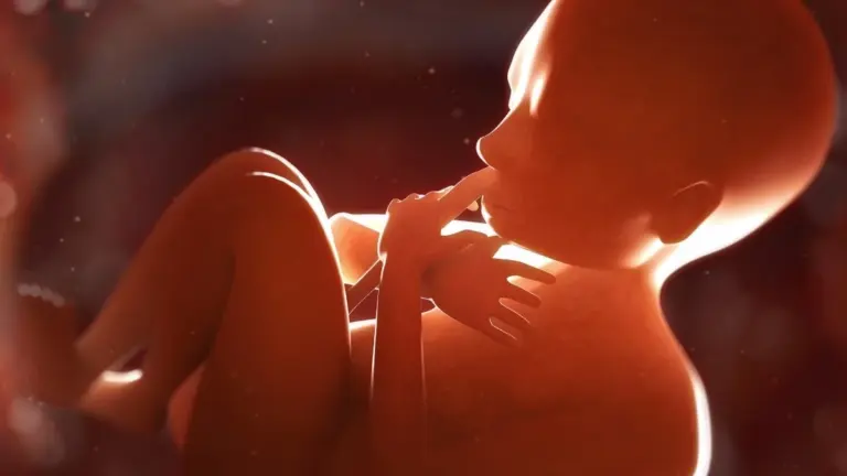 La placenta: un segreto rivelatore per il rischio di schizofrenia