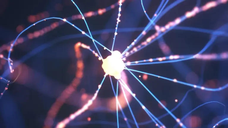La proteina del Parkinson danneggia le cellule cerebrali: scoperta la connessione mancante