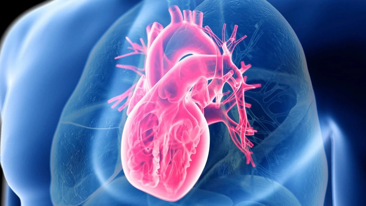 La qualità conta più dei carboidrati o dei grassi: lo studio che rivoluziona la salute del cuore