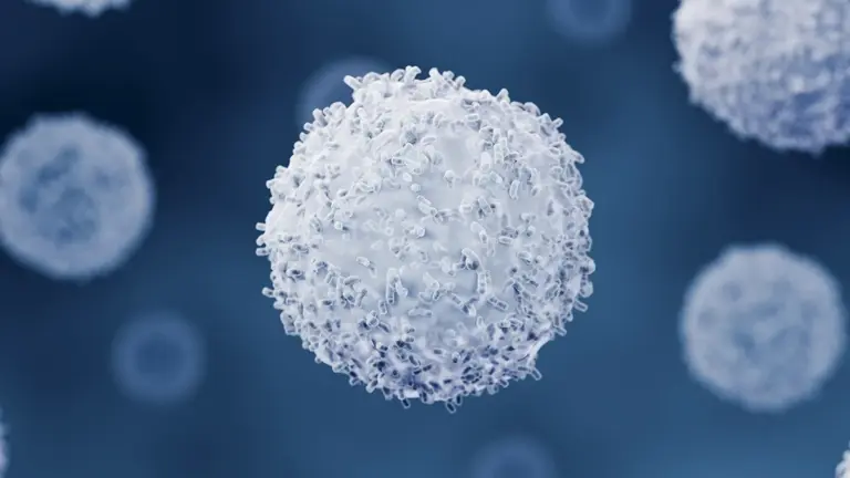 Le cellule immunitarie si sacrificano per fermare un parassita cerebrale