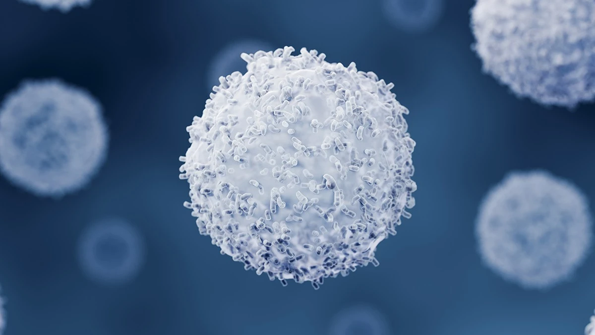 Le cellule immunitarie si sacrificano per fermare un parassita cerebrale