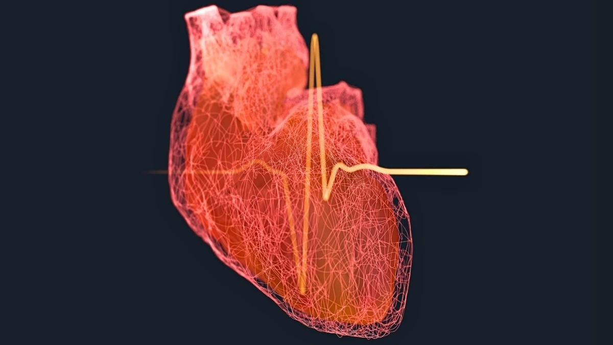 L'età in cui gli uomini dovrebbero preoccuparsi di più del cuore: la scienza lo rivela