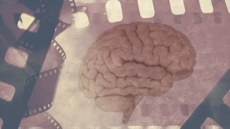 Memoria Alzheimer: il cervello "taglia e incolla" i ricordi, ecco la scoperta scioccante