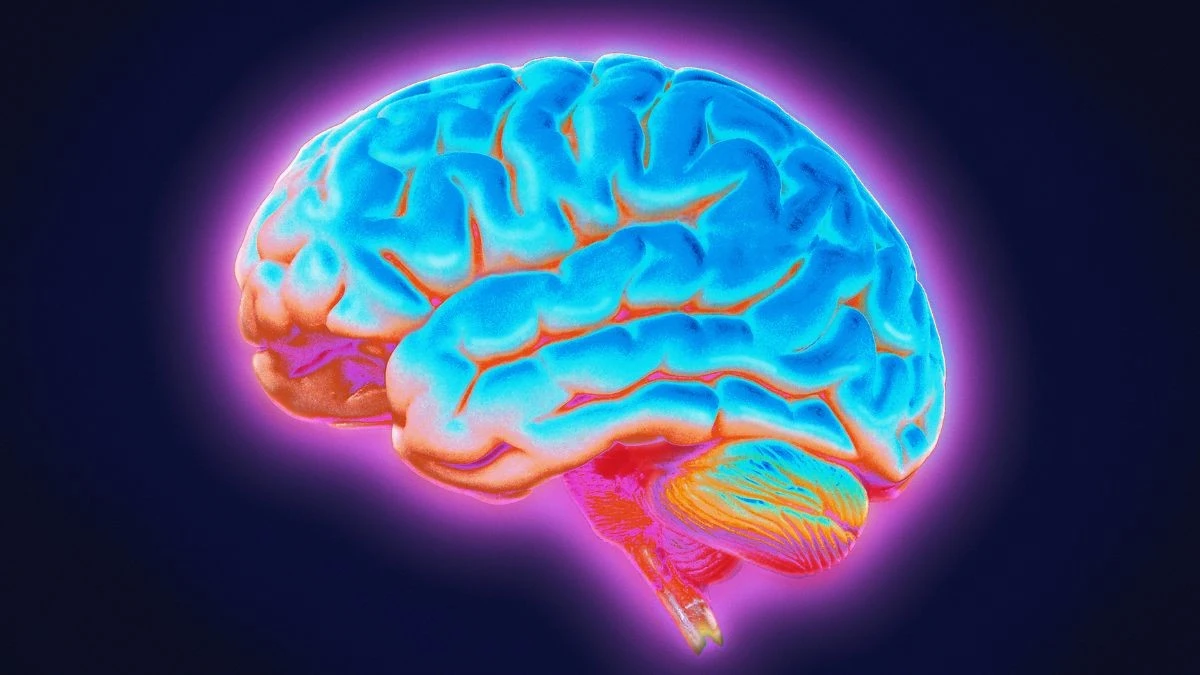 Parkinson's: Una Rete Cerebrale Profonda Potrebbe Essere la Chiave