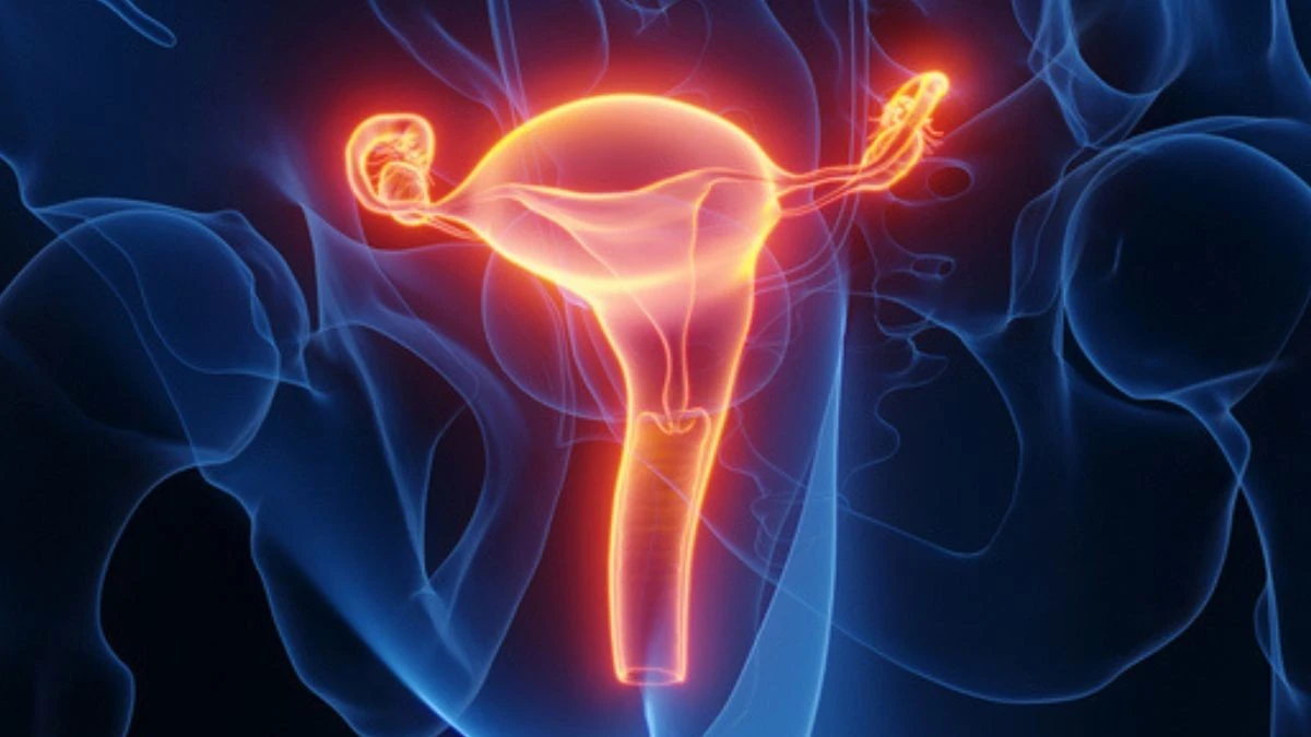 Per la prima volta nel Regno Unito: donna dà alla luce un bambino dopo un trapianto di utero da donatrice deceduta