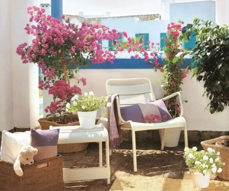 Santa Rita in fiore: il trucco dei professionisti per farla crescere velocemente quest'estate