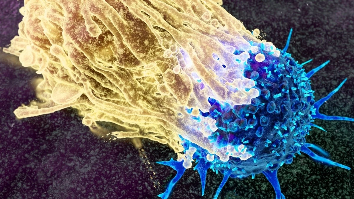 Scienziati puntano a intercettare il cancro decenni prima: scopri come funziona