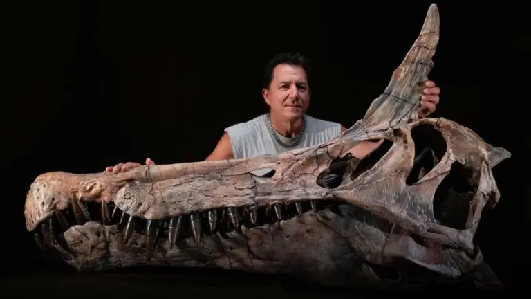 Spinosauro dal Sahara: Scoperta una Specie Inedita con una Cresta Mai Vista
