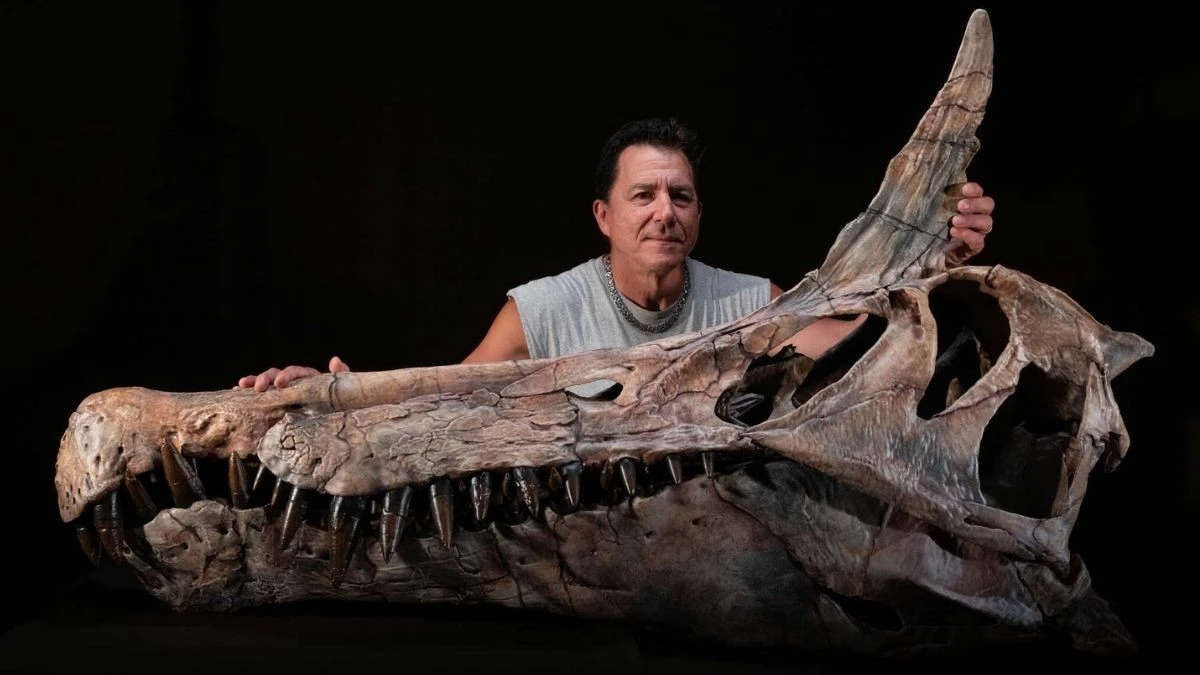 Spinosauro dal Sahara: Scoperta una Specie Inedita con una Cresta Mai Vista