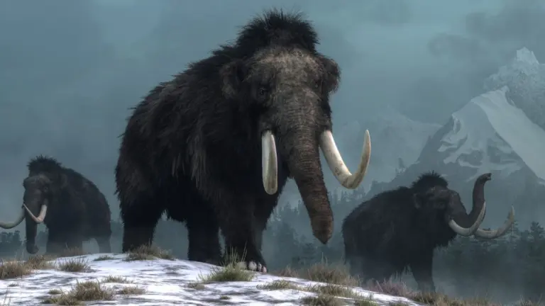 Strumenti d'avorio di mammut scoperti in Alaska riscrivono la preistoria americana