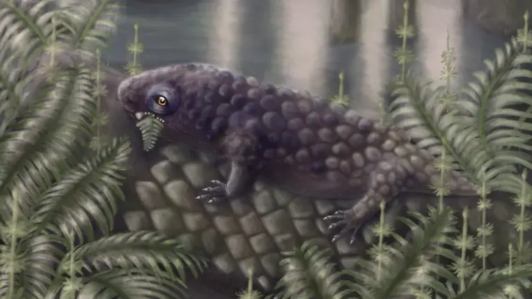 Tyrannoroter heberti: il dinosauro che amava le insalate 307 milioni di anni fa