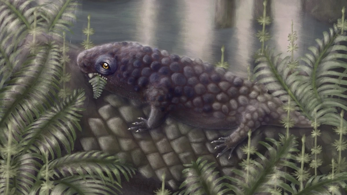 Tyrannoroter heberti: il dinosauro che amava le insalate 307 milioni di anni fa