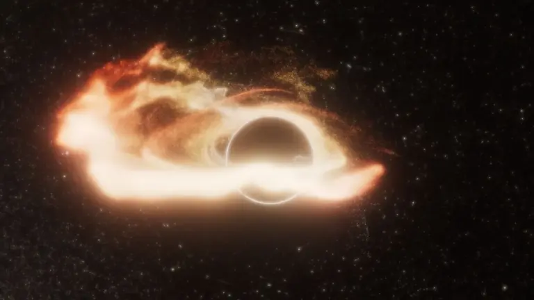 Una nana bianca fatta a pezzi: la prima prova di un buco nero misterioso all'opera