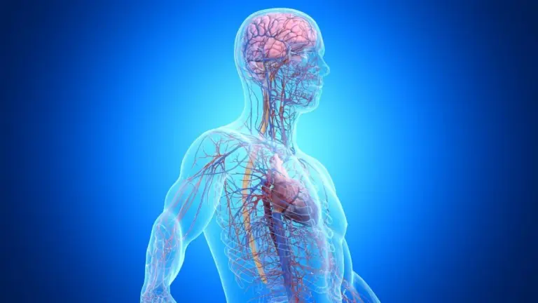 Un terzo dei casi di demenza è legato a malattie non cerebrali: la scoperta che cambia tutto