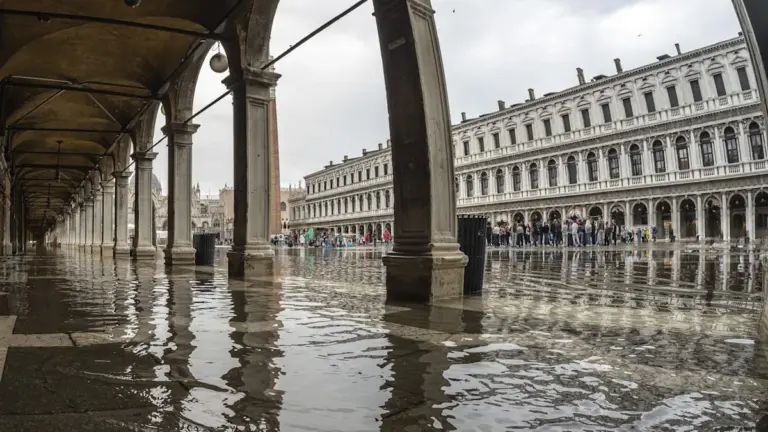 Venezia: migliaia di pesci escono dai canali e nuotano per le calli allagate