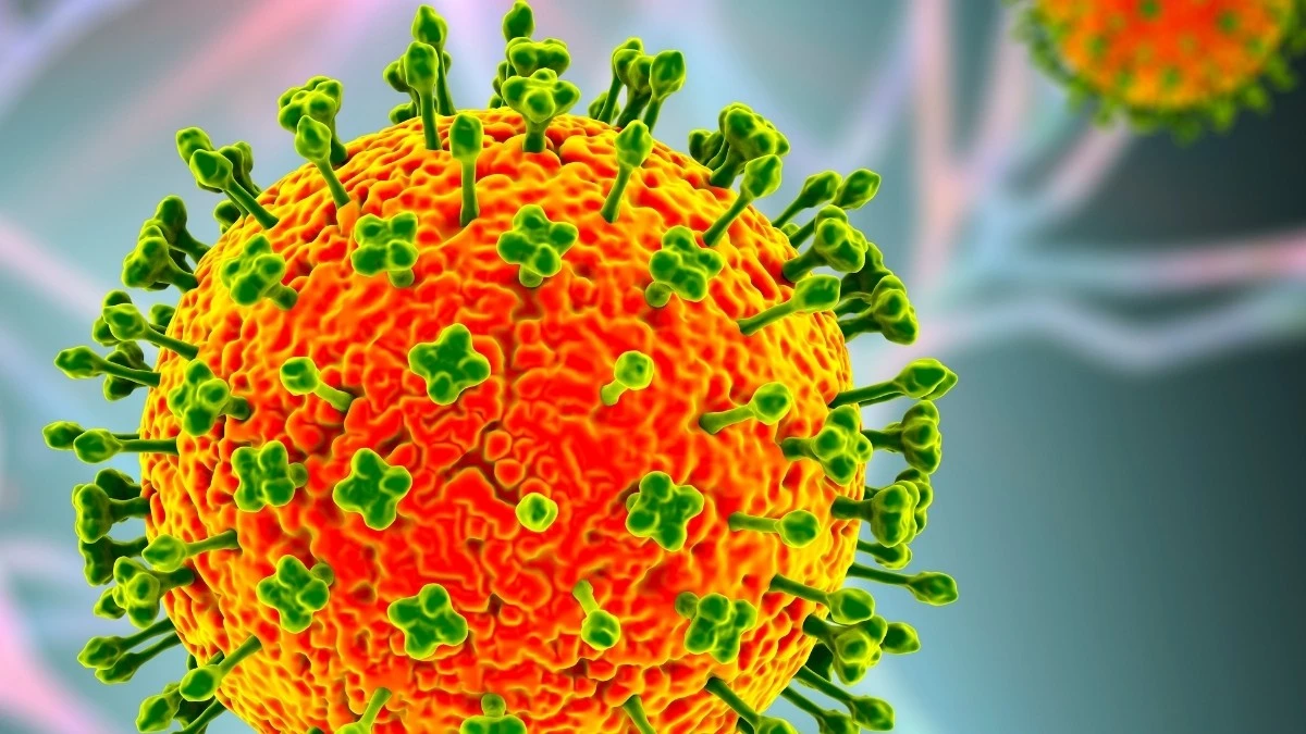 Virus Nipah: Allerta in Asia tra i timori per i decessi in India