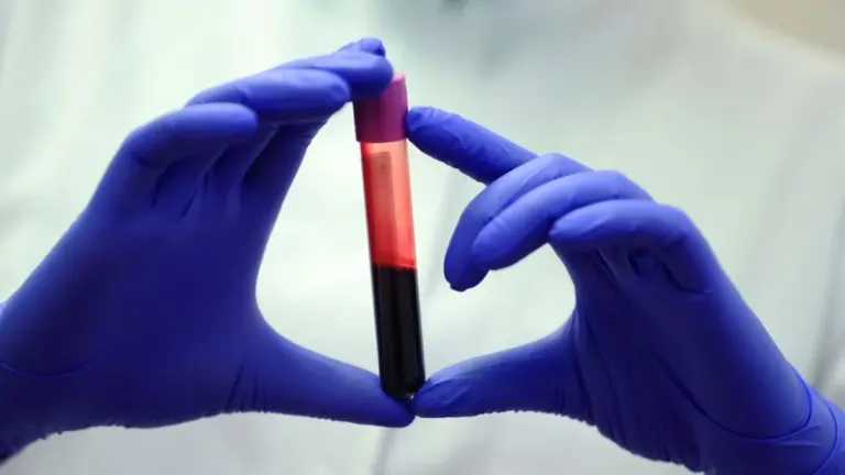 Anidride carbonica nell'aria: potrebbe già influenzare la chimica del tuo sangue