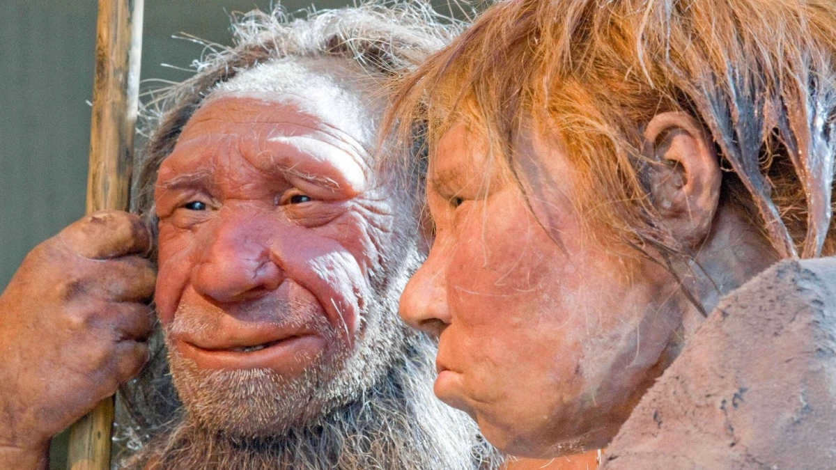 Genetica: Perché il DNA Neanderthal è Quasi Assente nel Nostro Cromosoma X?