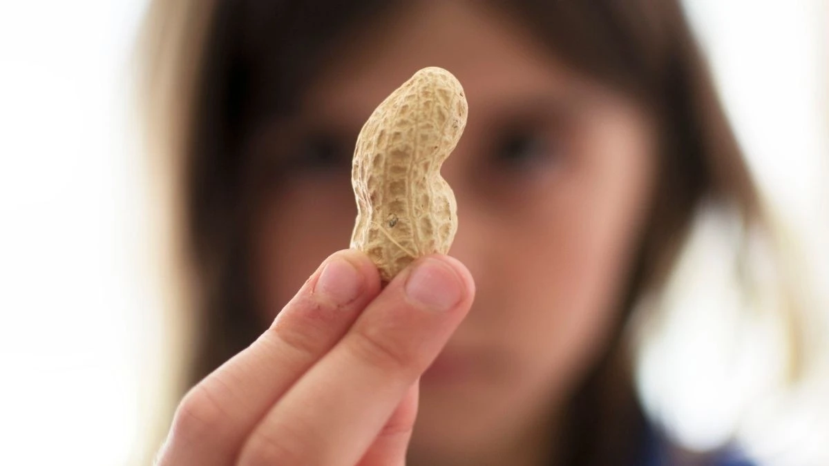 I batteri in bocca e intestino che "disarmano" le proteine delle arachidi: una scoperta rivoluzionaria