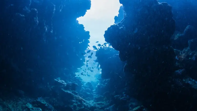 Il "Grand Canyon" Atlantico svelato: cosa ha creato queste profonde fenditure nel fondale