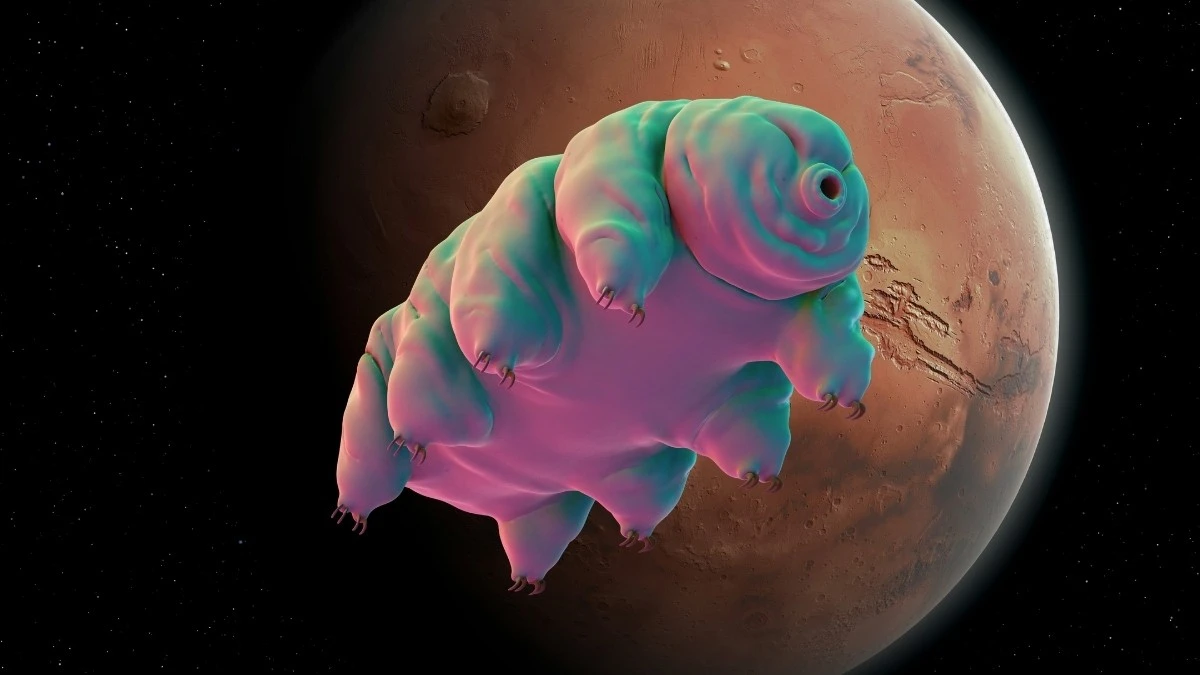 Il segreto per coltivare su Marte: un semplice trucco salva-tardigradi dal suolo alieno