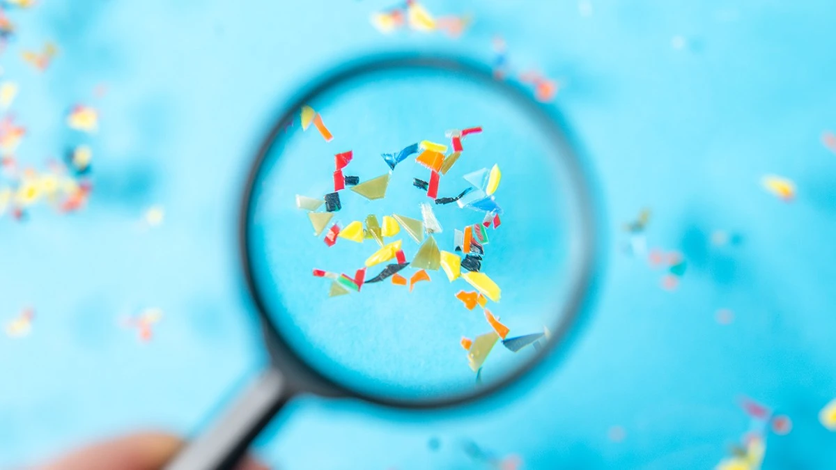 Microplastiche nel cervello: la nuova preoccupante causa del Parkinson?