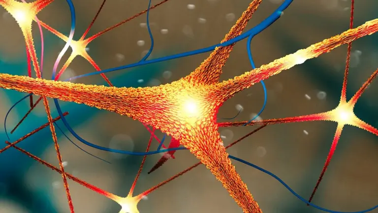 Proteina del Parkinson: la chiave per capire il divario di genere nell'Alzheimer?