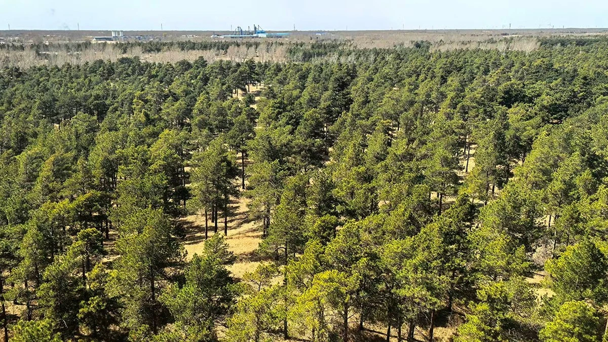 Questo deserto "iperarido" si sta trasformando in una "fabbrica" di CO2: la svolta inimmaginabile