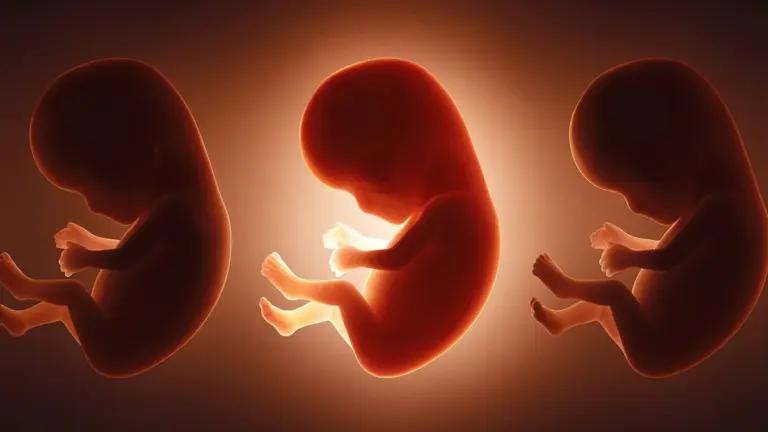 Scoperti 42 "eterni inquinanti" nel sangue dei neonati: un allarme silenzioso prima della nascita